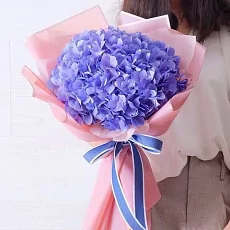 Синяя Гортензия