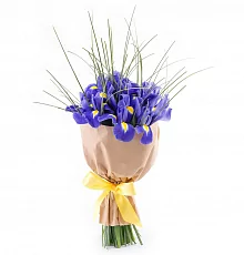 11 Ирисов в крафте