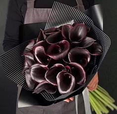 25 Бордовых Калл