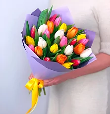 25 Разноцветных тюльпанов