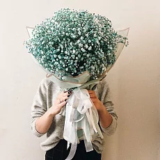  31 Голубая Гипсофила