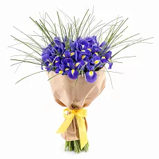 Букет ирисов 17 шт