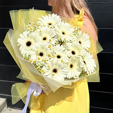 Герберы и матрикарии