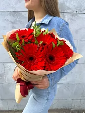 7 Красных гербер с зеленью 