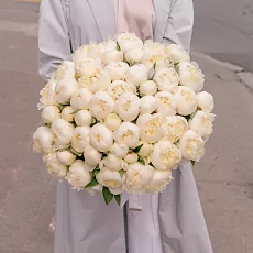 51 Белый Пион