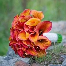 Композиция невесты с оранжевыми каллами 