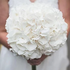 Букет невесты из белой гортензии