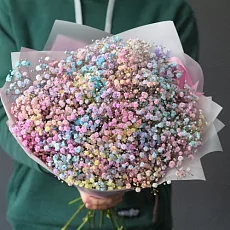 7 Радужных Гипсофил