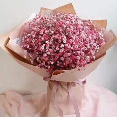 Букет "9 Ярко-Розовых Гипсофил"