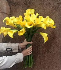 23 Желтые Каллы