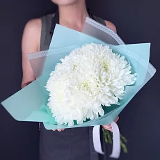 5 Белоснежных Хризантем