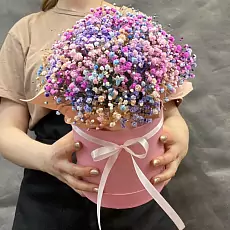 Композиция цветная гипсофила