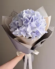 Голубая Гортензия