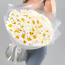 85 Крупных Ромашек