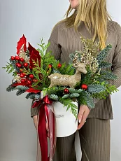 Новогодняя коробка с нобилисом и туей 