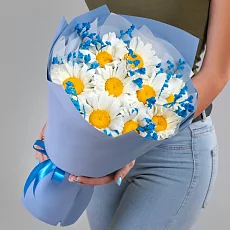 Букет из Ромашек в упаковке