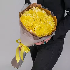 9 Желтых Игольчатых Хризантем в упаковке 