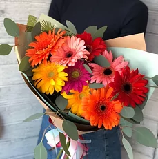 9 Разноцветных Гербер в упаковке