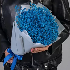 7 Синих Гипсофил