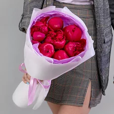 7 Малиновых Пионов в упаковке