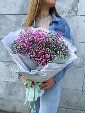 Гипсофила Цветная микс