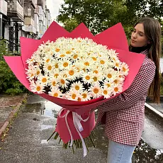 101 Ромашка в стильной упаковке