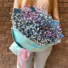 Гипсофила в голубой упаковке 