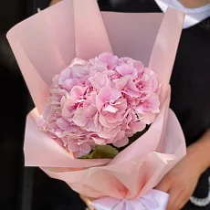 Яркая гортензия