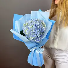 Букет живых цветов из голубой гортензии оформленный в дизайнерскую упаковку