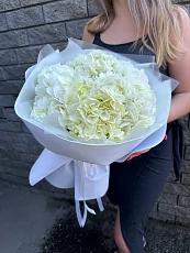 5 Белых гортензий в фоамиране