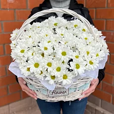 Снежные Хризантемы в Корзине