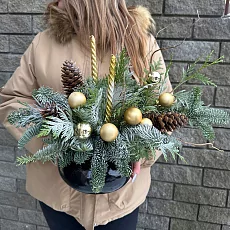 Новогодняя композиция из хвои