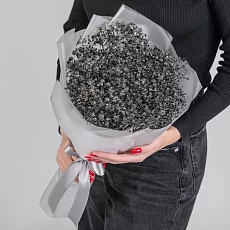 7 Черных Гипсофил