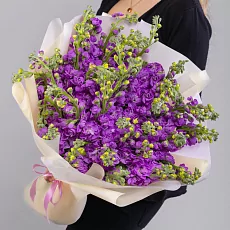 35 Фиолетовых Маттиол в упаковке