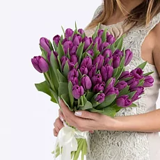 51 Тюльпан сиреневого цвета