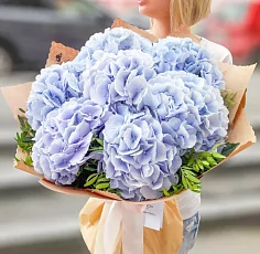 7 Небесных Гортензий