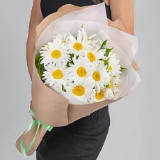 15 Крупных Ромашек в крафте