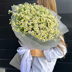 Матрикария в дизайнерской упаковке