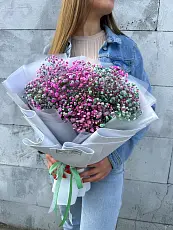 Букет живых цветов из цветной гипсофилы