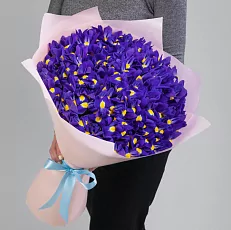 75 Синих Ирисов в упаковке 