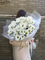 Букет живых цветов из 7 кустовых хризантем оформленный в дизайнерскую упаковку