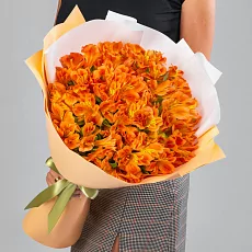 19 Оранжевых Альстромерий в упаковке 