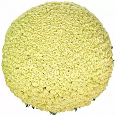 Цветы в корзине 1001 Белая Роза