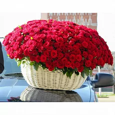 501 Красная Роза в корзине