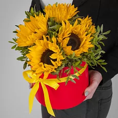 5 Подсолнухов в коробке