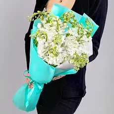 11 Белых Маттиол в упаковке