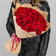 25 Красных Гербер в упаковке