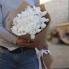   31 Белый Ирис в крафте 