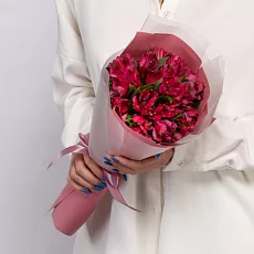 5 Малиновых Альстромерий