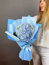 Букет живых цветов из голубой гортензии оформленный в дизайнерскую упаковку